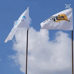 GIF-2018-06-06-20-07-12.gif