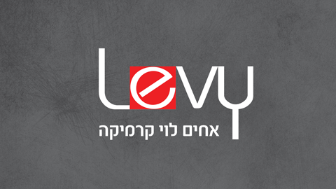 אחים לוי
